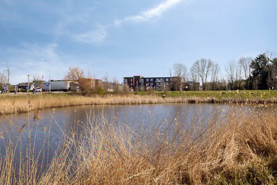 Foto 26 van Zeeltstraat 75