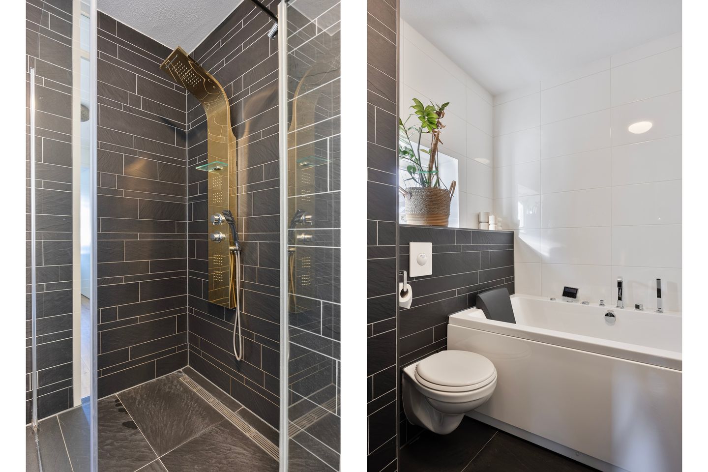 Foto 20 van Zevenster 8