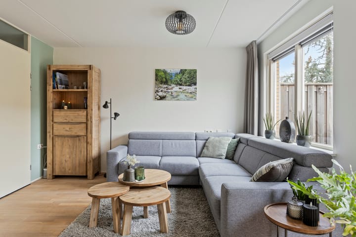 Foto 5 van de Flier 3331