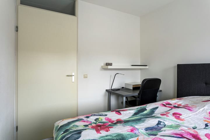 Foto 15 van de Flier 3331