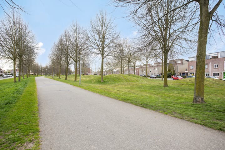 Foto 29 van de Flier 3331