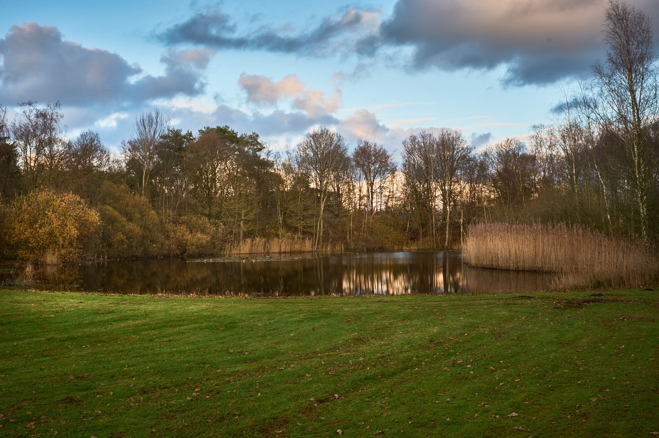 Foto 33 van Fazantlaan 16