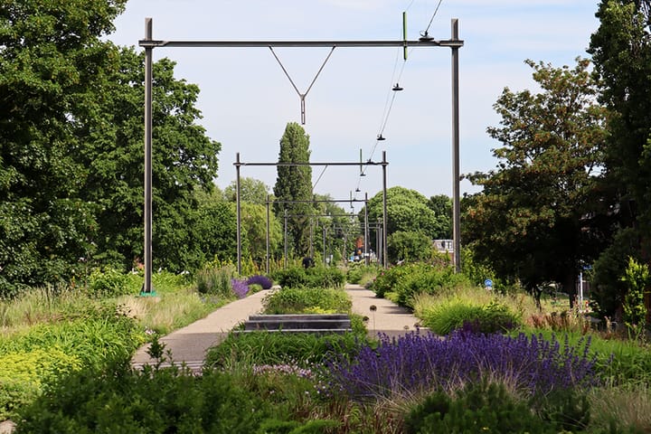 Photo 50 of Notebomenlaan 46