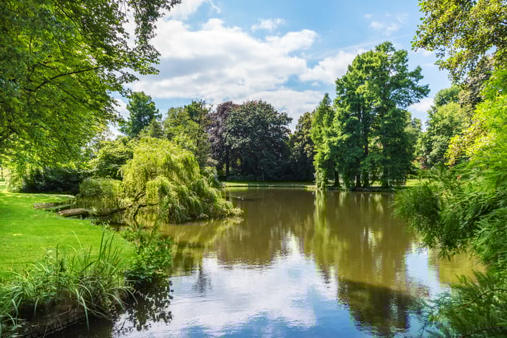 Photo 52 of Notebomenlaan 46