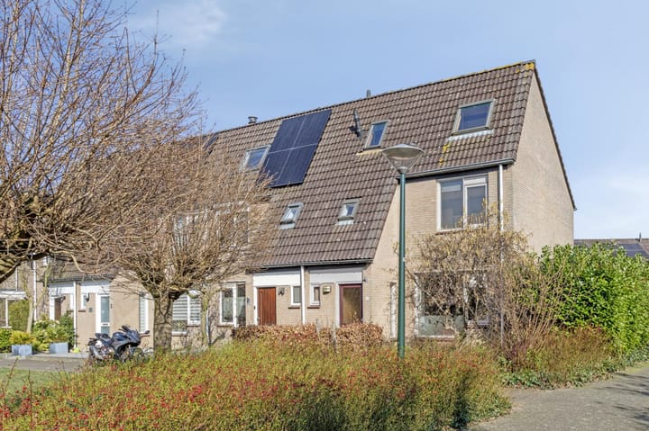 undefined main image