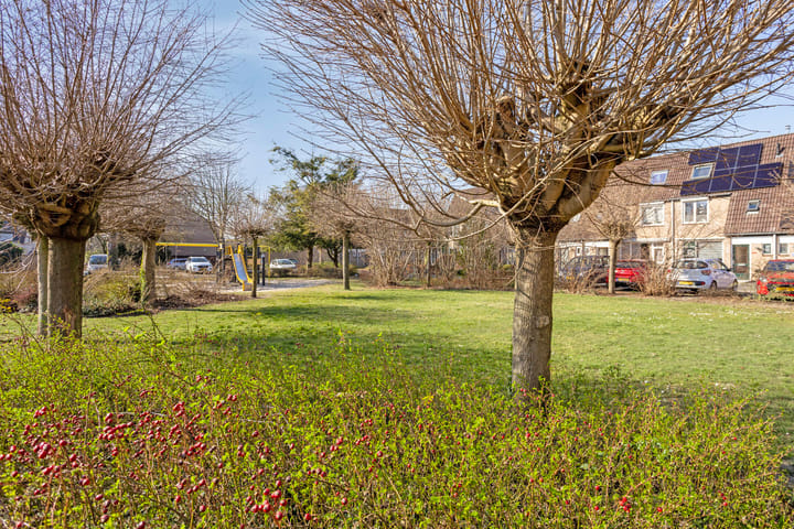 Foto 36 van Gagellaar 4