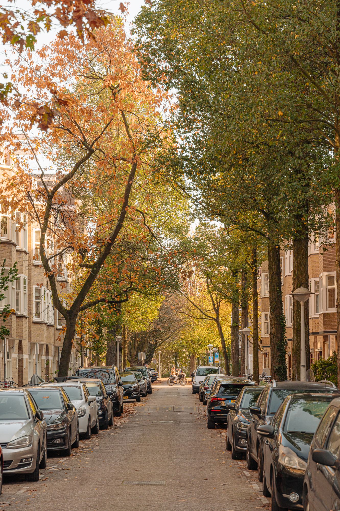 Foto 30 van Stadionplein 61-3