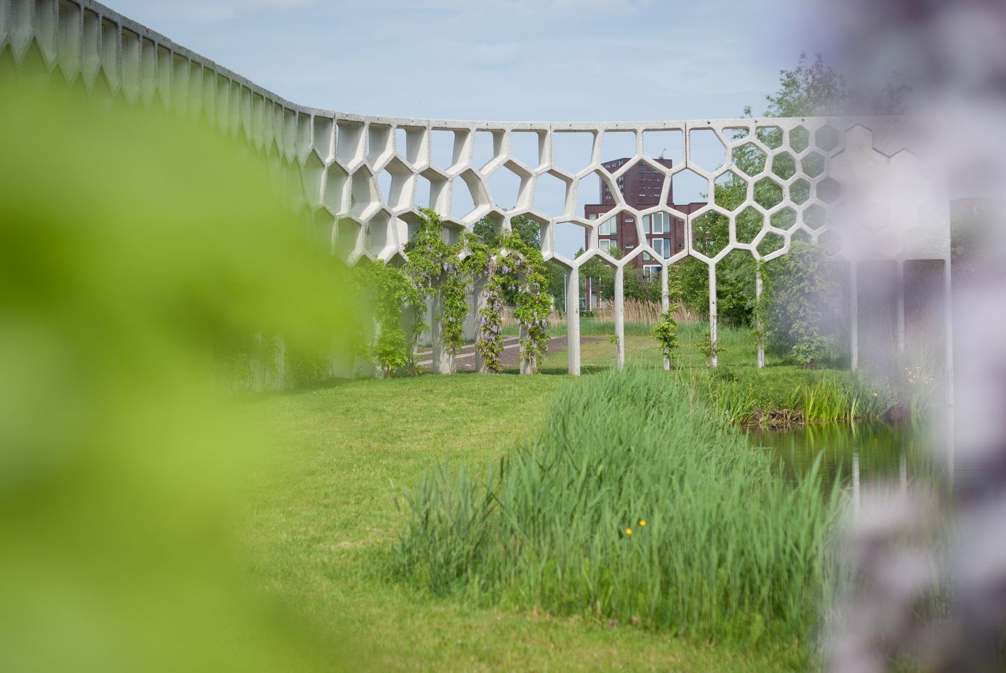 Foto 95 van Maltezerhof 5