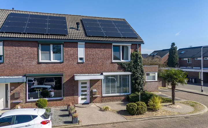 Foto 3 van Daslook 12