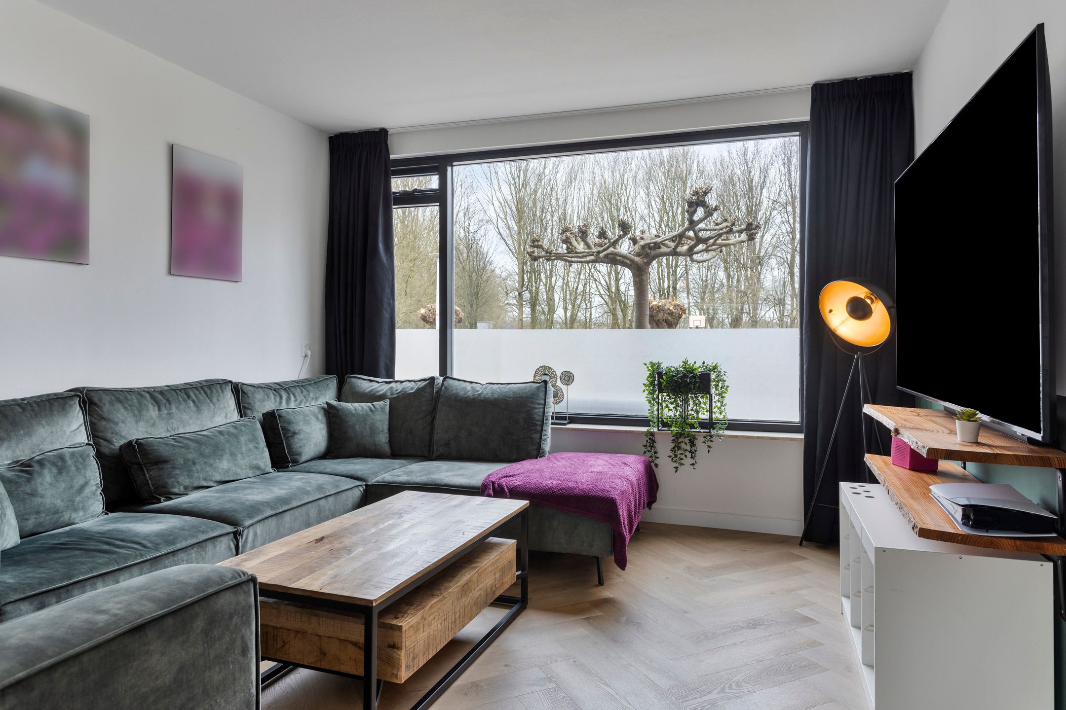 Foto 6 van Pluvierstraat 18