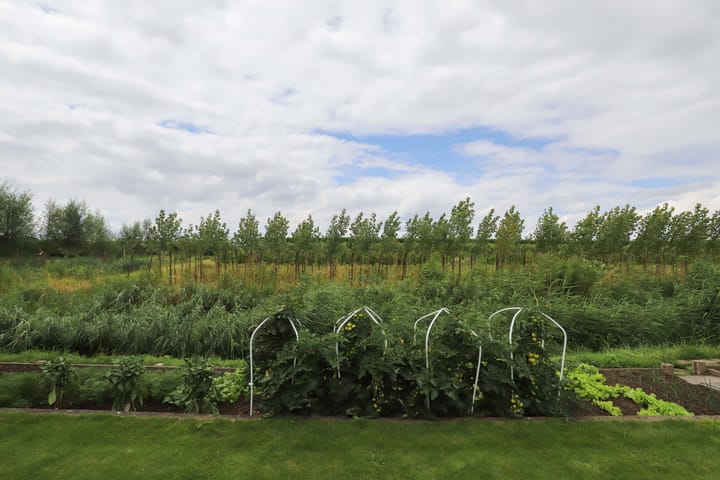 Foto 38 van Moerdamme 15