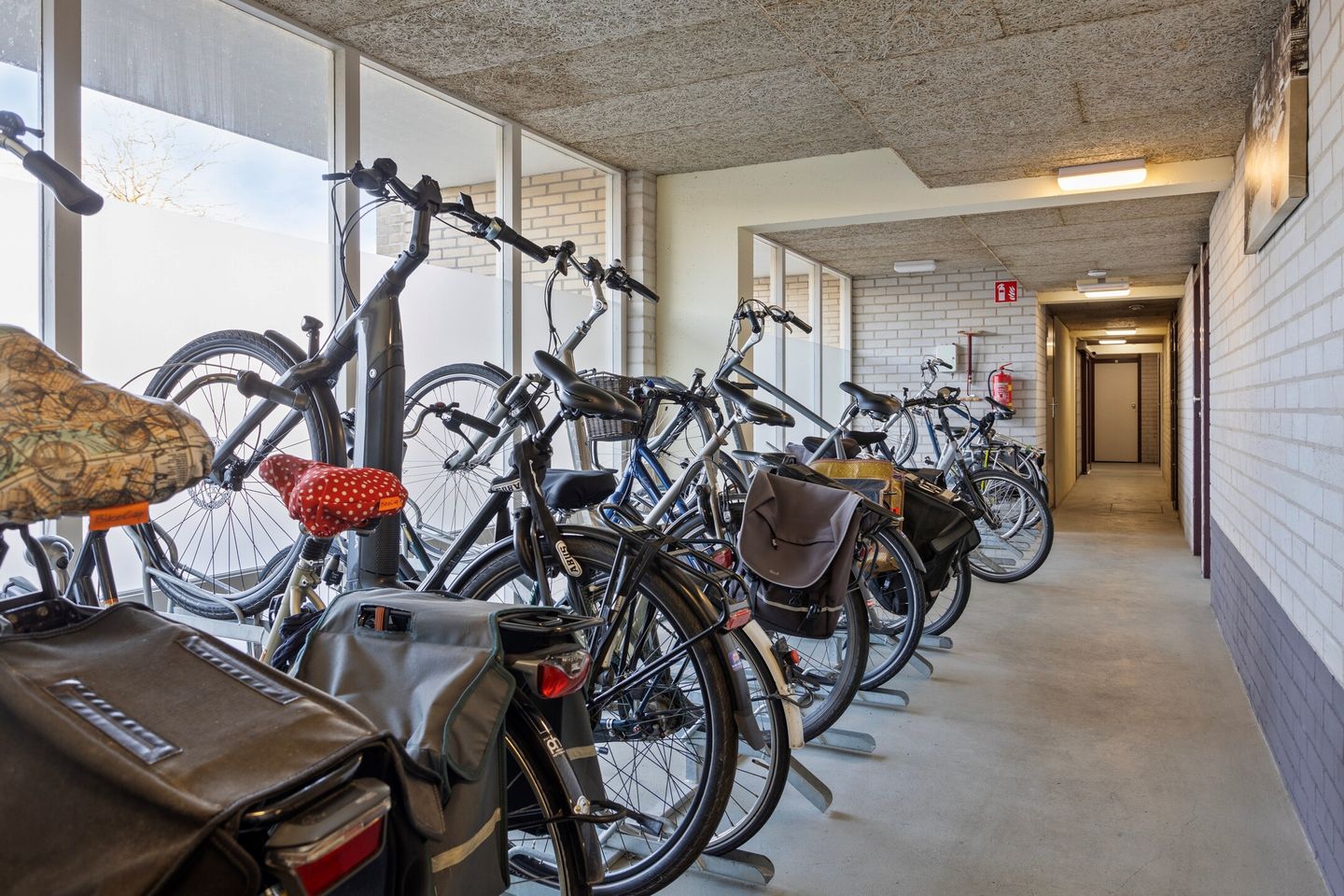 Foto 34 van Queridolaan 95