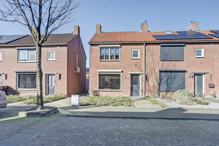 undefined main image