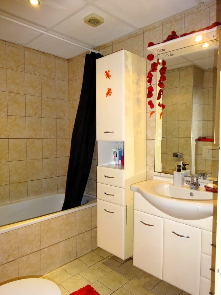 Foto 12 van Van den Berghstraat 52