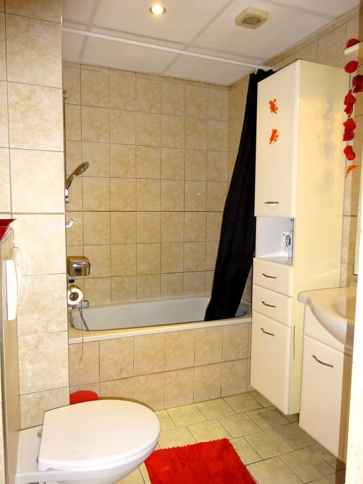 Foto 13 van Van den Berghstraat 52