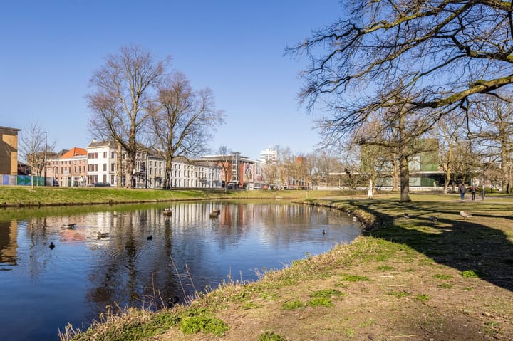 Foto 29 van Kastanjelaan 25-1