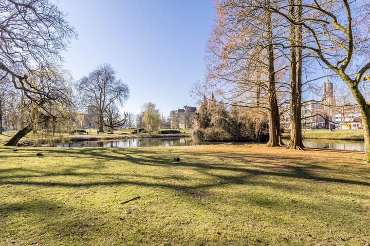 Foto 30 van Kastanjelaan 25-1