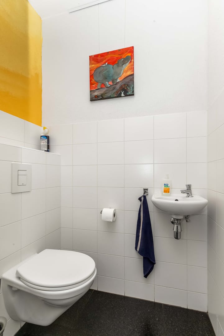 Foto 7 van Veenmos 69