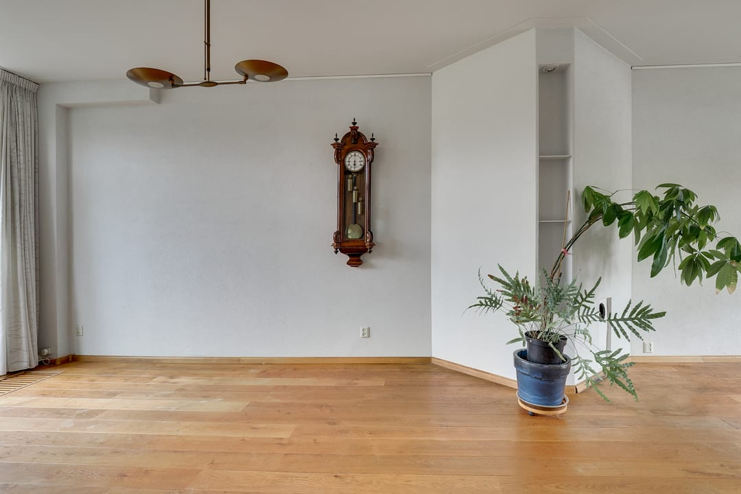 Foto 8 van Linnaeuslaan 70