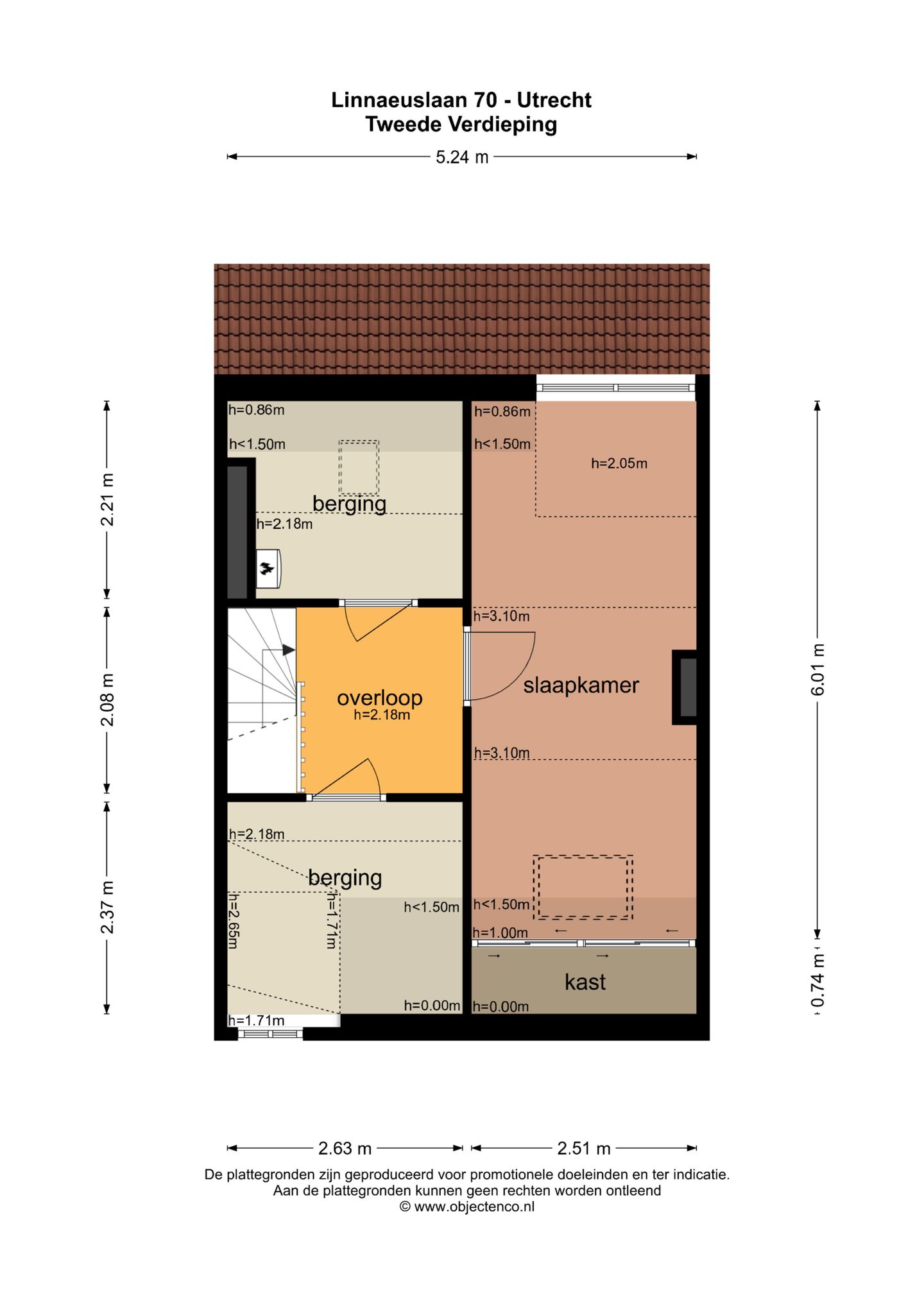 Foto 55 van Linnaeuslaan 70