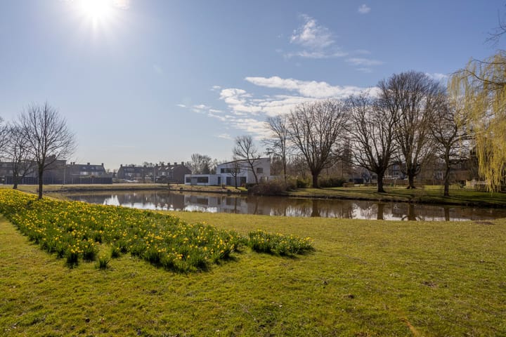 Photo 32 of Burgemeester Hendrixstraat 97