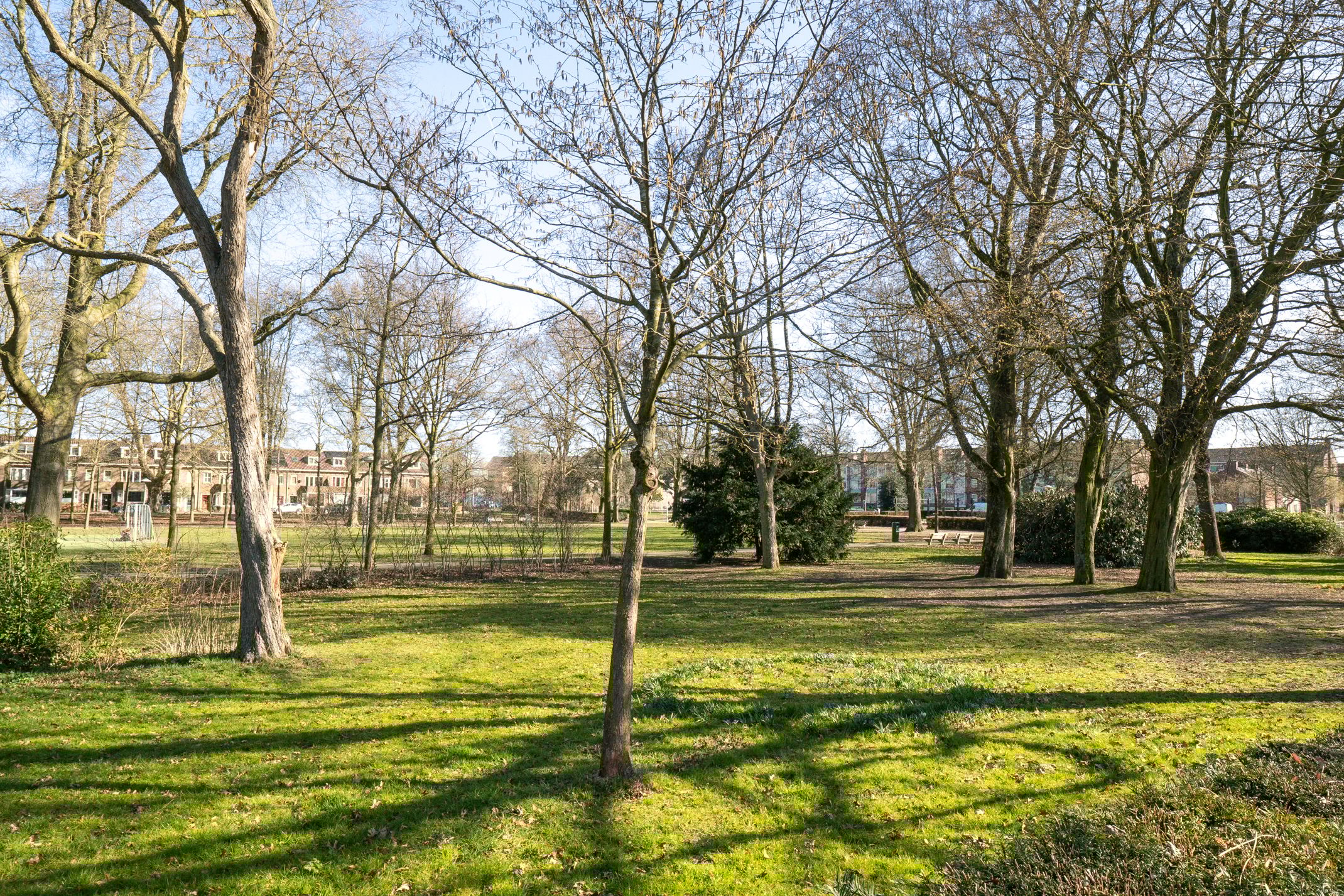 Foto 30 van Curaçaostraat 19-BS