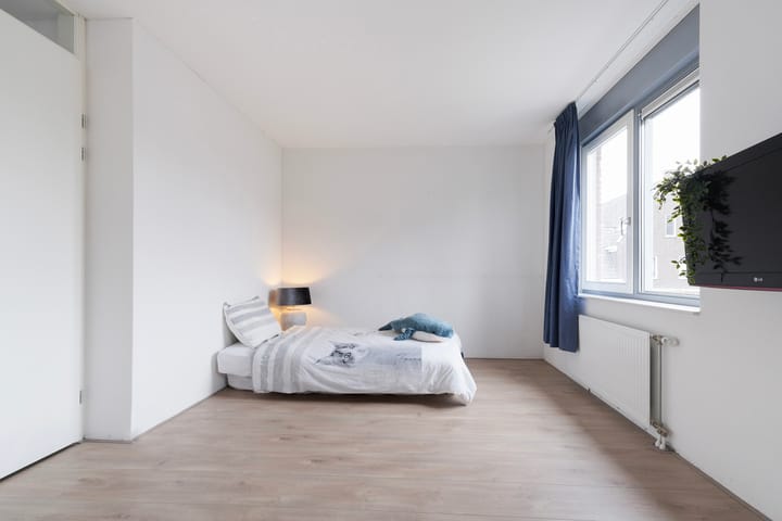 Foto 33 van Poldermolen 4