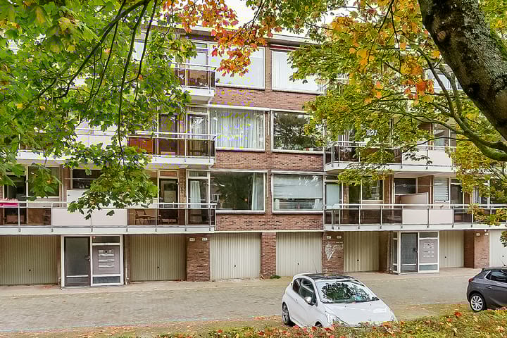 Foto 25 van Julianaplantsoen 143