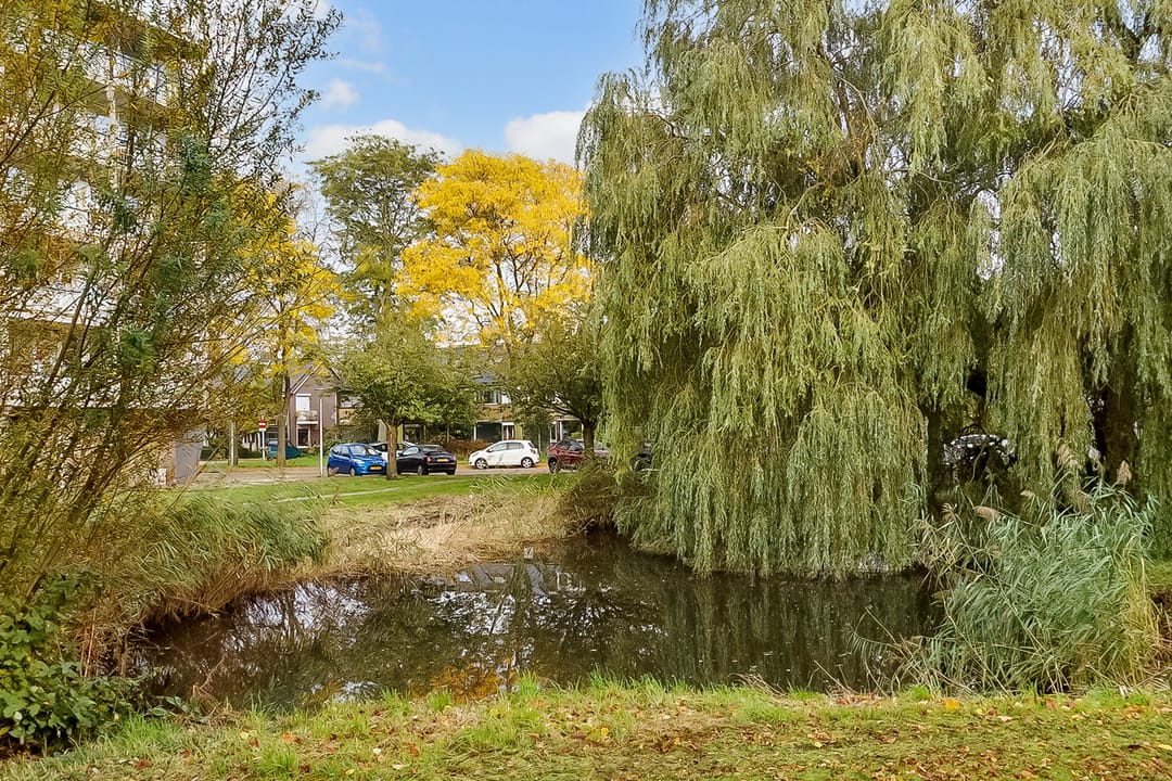 Foto 26 van Julianaplantsoen 143