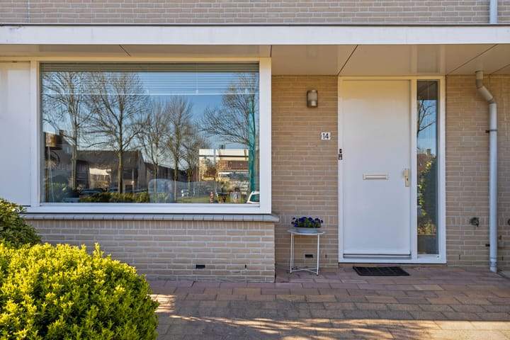 Foto 8 van Visdief 14