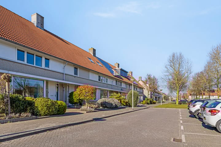 Foto 42 van Visdief 14