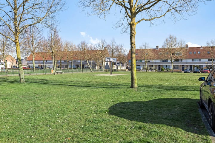 Foto 46 van Visdief 14