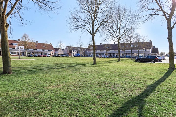 Foto 48 van Visdief 14