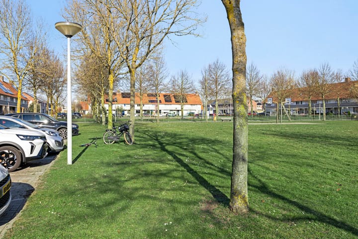 Foto 47 van Visdief 14