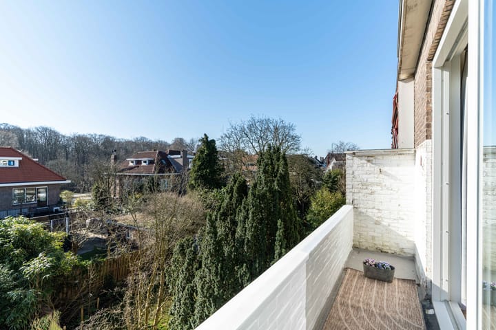 Foto 19 van Roelofsstraat 107