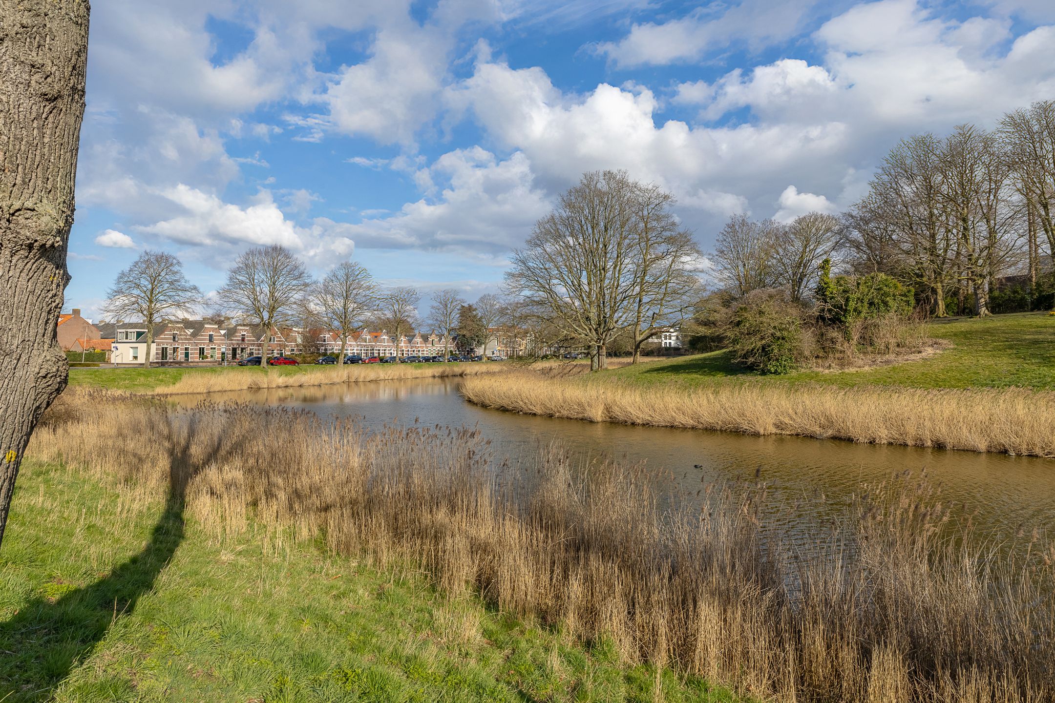 Foto 45 van Noordsingel 138