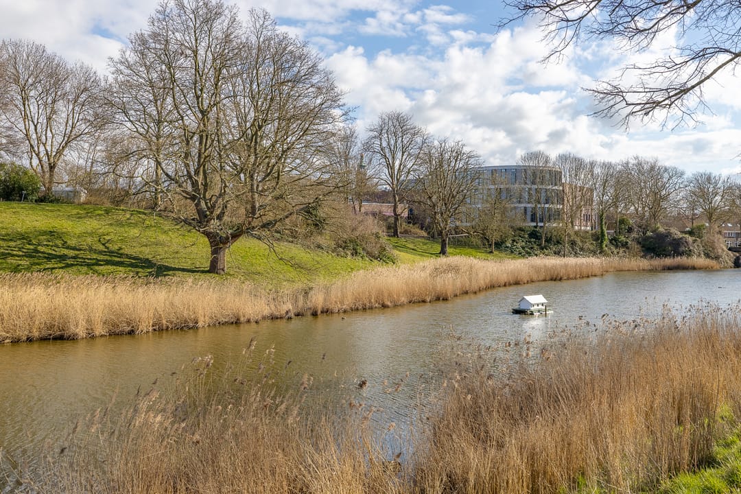 Foto 46 van Noordsingel 138