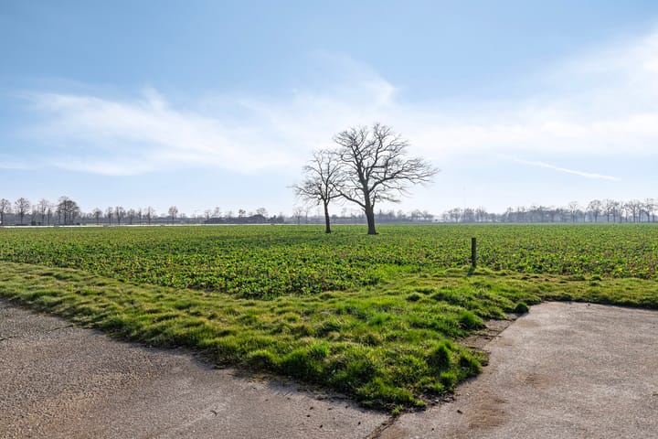 Photo 30 of Verreheide 44