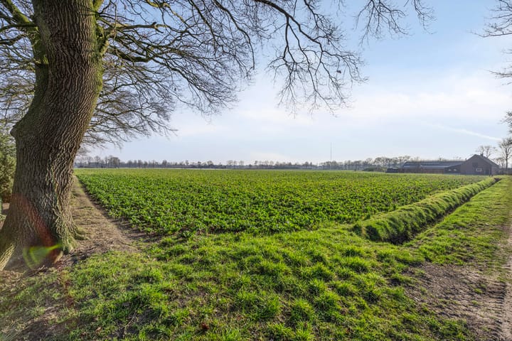 Photo 32 of Verreheide 44