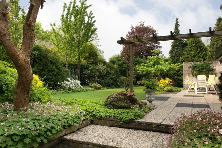 Foto 5 van den Berg 20