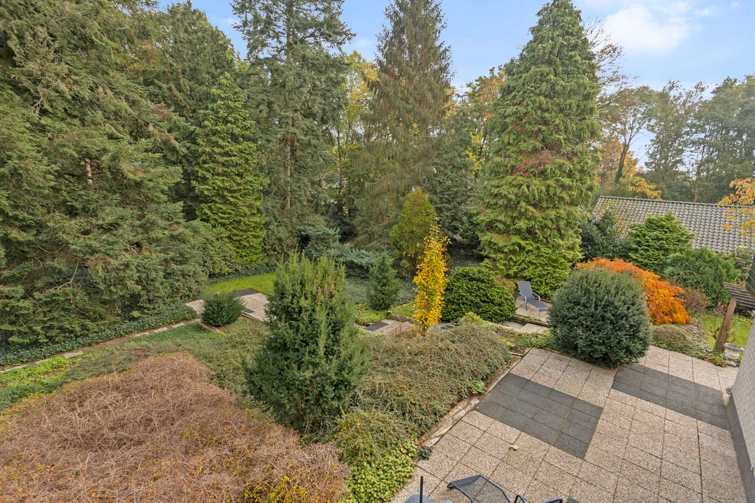 Foto 56 van den Berg 20