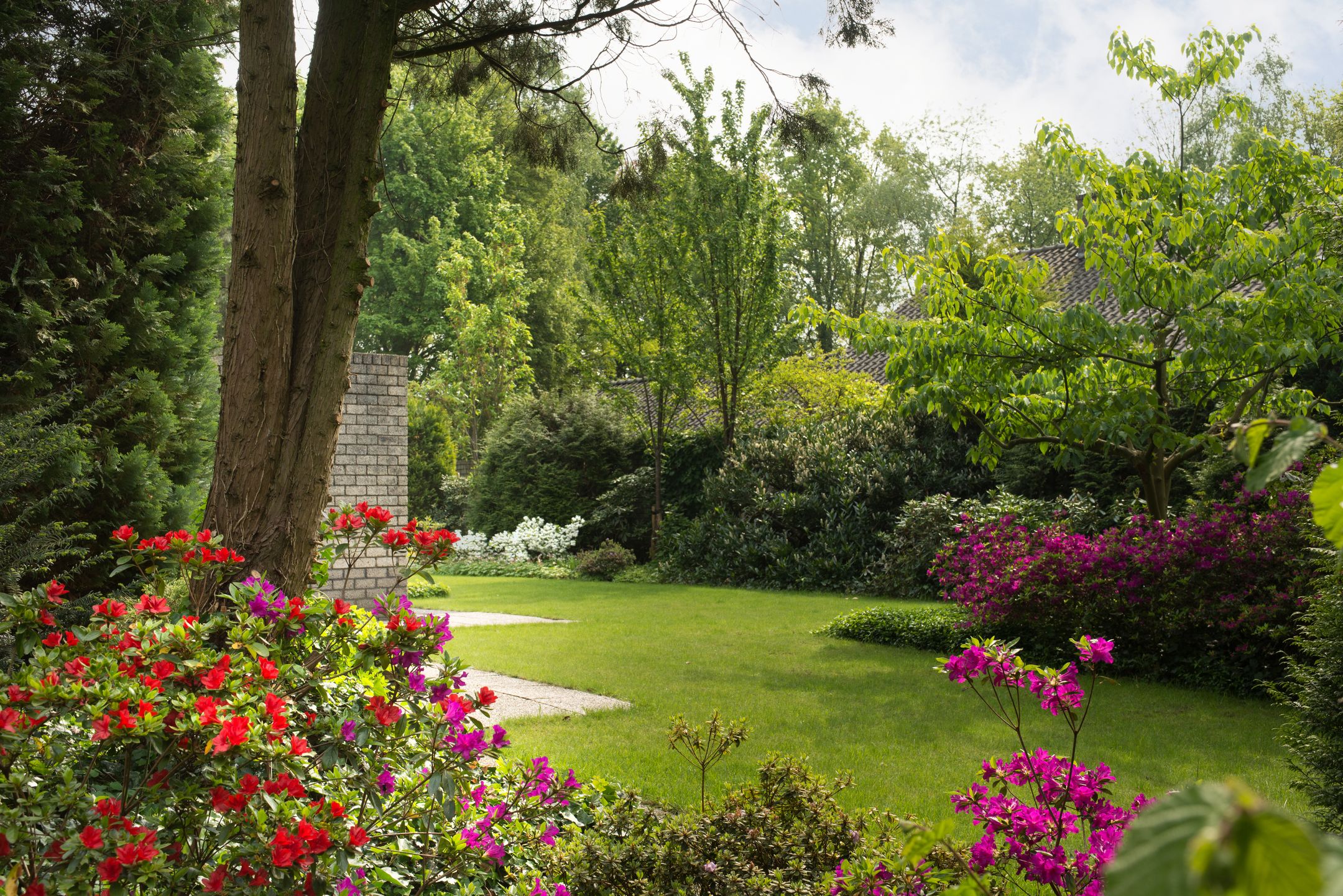 Foto 60 van den Berg 20