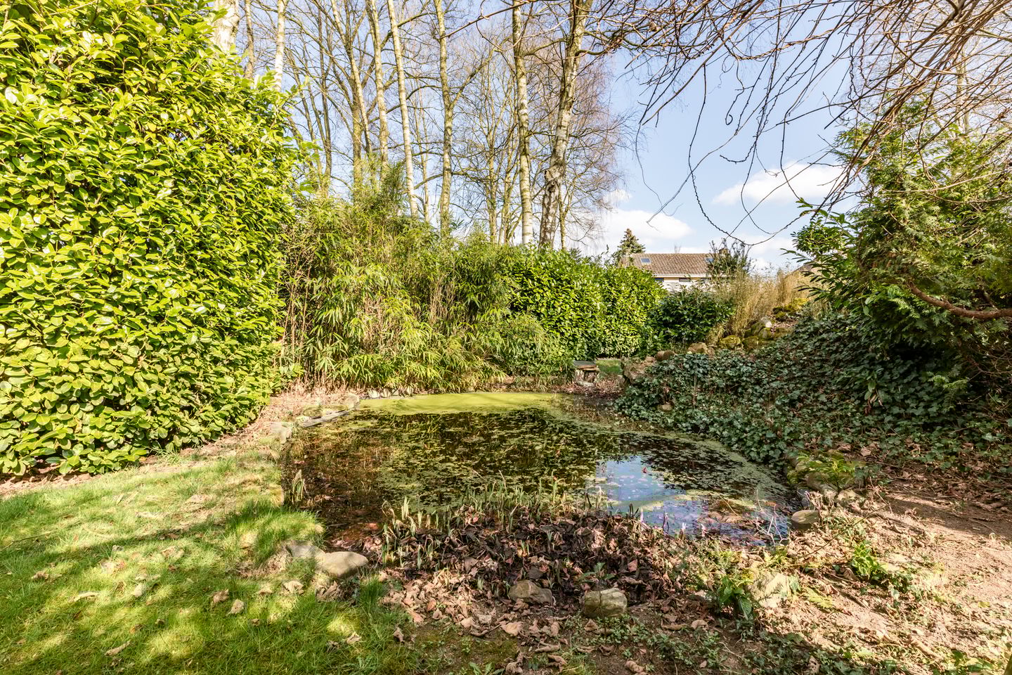 Foto 35 van Diergaarderstraat West 15