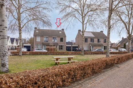 undefined main image