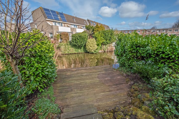 Foto 10 van Ponyweide 21