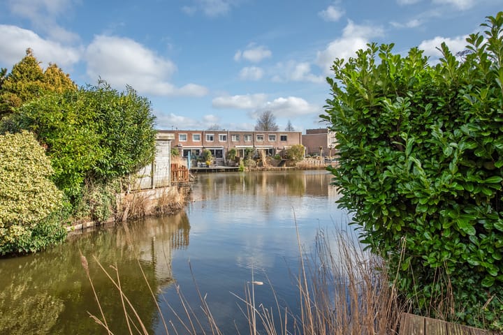 Foto 11 van Ponyweide 21