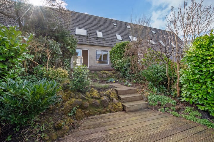 Foto 12 van Ponyweide 21