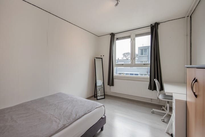 Foto 19 van Ponyweide 21