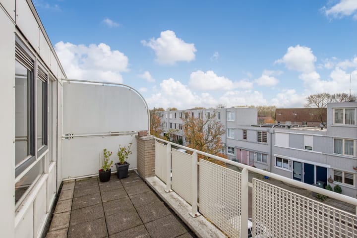 Foto 30 van Ponyweide 21