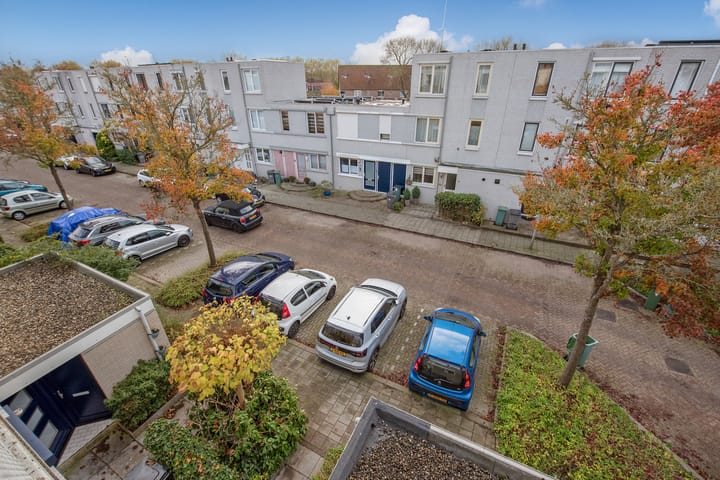 Foto 31 van Ponyweide 21